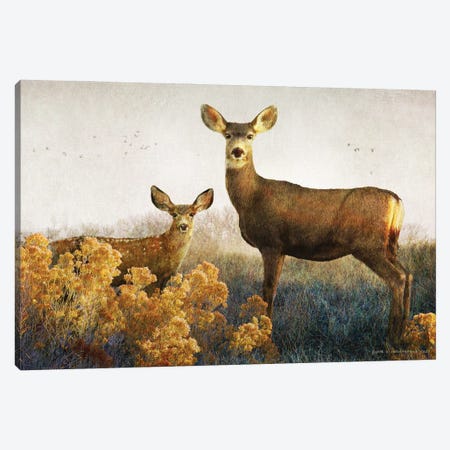 Doe And Fawn Canvas Print #CHV4} by Christopher Vest Canvas Art Print