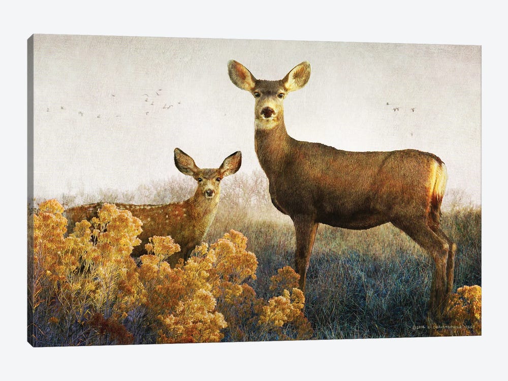 Doe And Fawn by Christopher Vest 1-piece Canvas Art