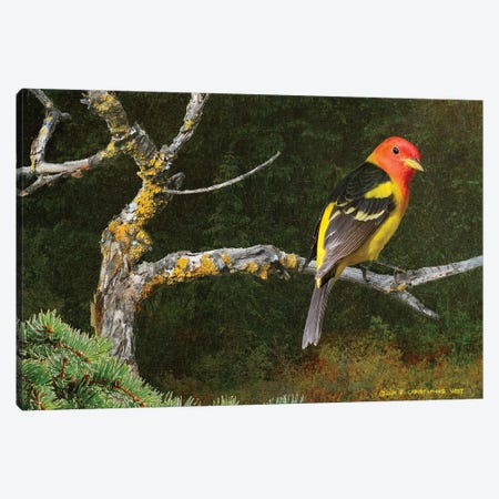 On The Branch I Canvas Print #CHV52} by Christopher Vest Art Print