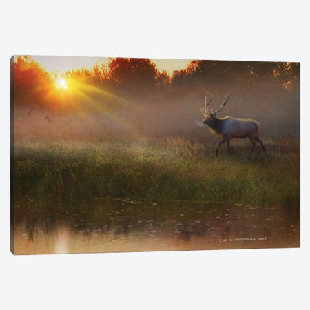 A Cool Drink (Bull Elk) Canvas Print #CHV58} by Christopher Vest Art Print