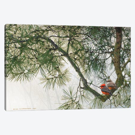 Bent Pine Bough With Vermillion Flycatchers Canvas Print #CHV59} by Christopher Vest Canvas Art Print