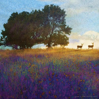 Tree Hill Flowers by Christopher Vest art print