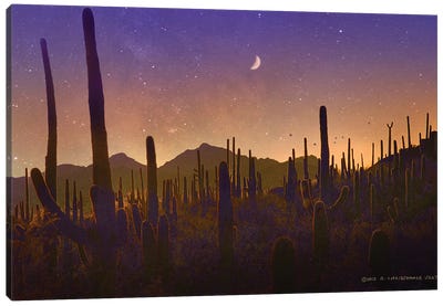Lots Of Saguaros Silhouette Canvas Art Print - Crescent Moon Art