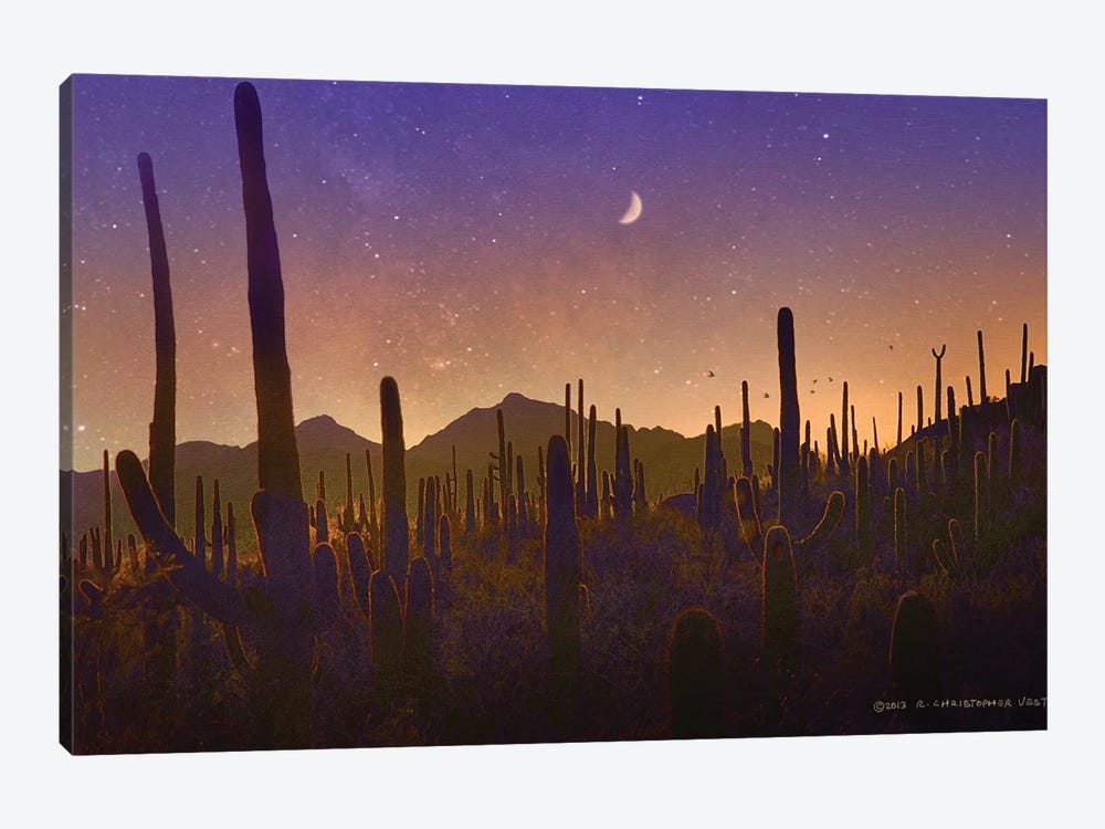 Lots Of Saguaros Silhouette by Christopher Vest 1-piece Canvas Print