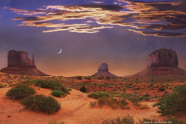 Christopher Vest: Merrick And The Mittens by Christopher Vest