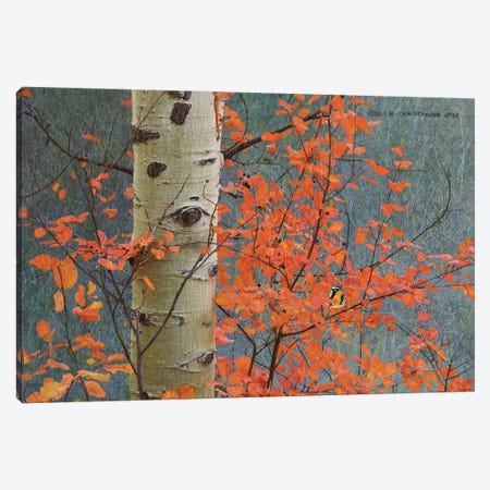 Red Leaves On Gray Canvas Print #CHV63} by Christopher Vest Canvas Art