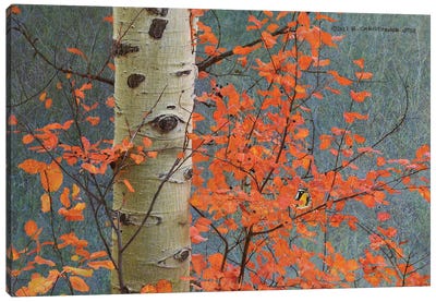 Red Leaves On Gray Canvas Art Print