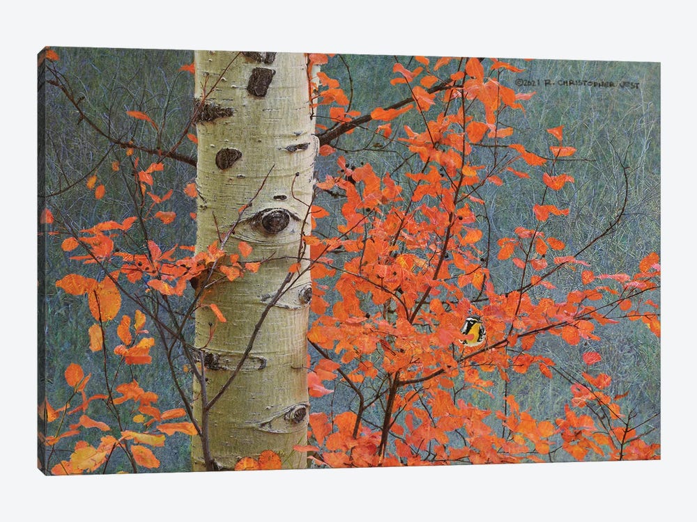 Red Leaves On Gray by Christopher Vest 1-piece Canvas Art