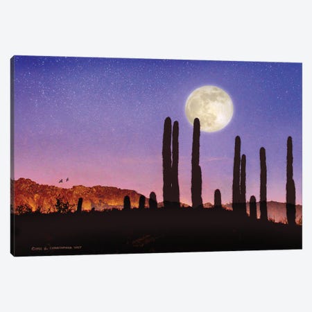 Saguaro Cactus And Quail Moon Canvas Print #CHV64} by Christopher Vest Canvas Art Print