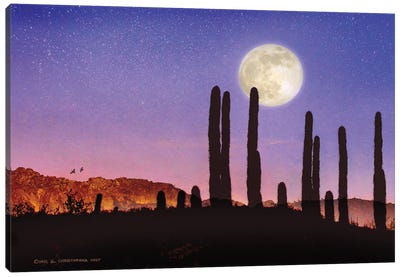 Saguaro Cactus And Quail Moon Canvas Art Print