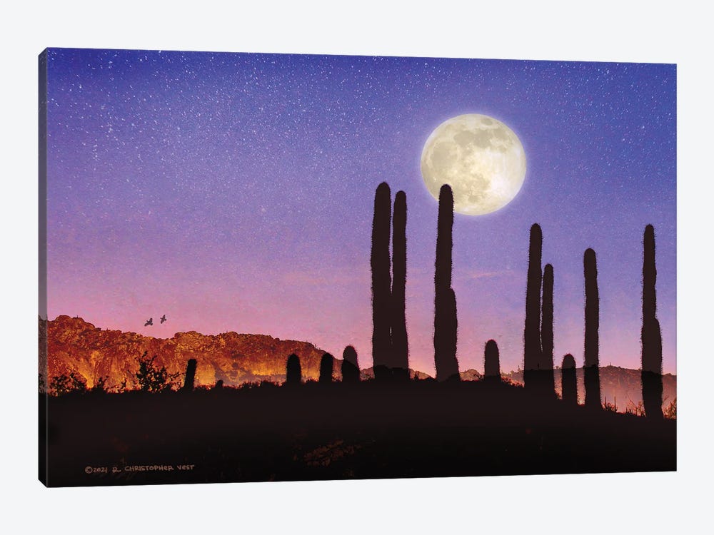 Saguaro Cactus And Quail Moon by Christopher Vest 1-piece Canvas Art Print
