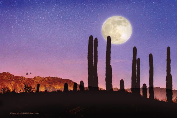 Quails: Saguaro Cactus And Quail Moon by Christopher Vest