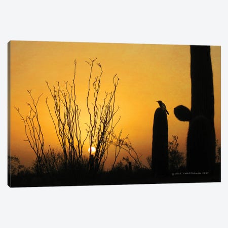 Sunset Cactus Wren Canvas Print #CHV65} by Christopher Vest Canvas Print