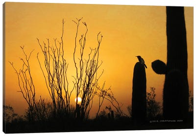 Sunset Cactus Wren Canvas Art Print - Wren Art