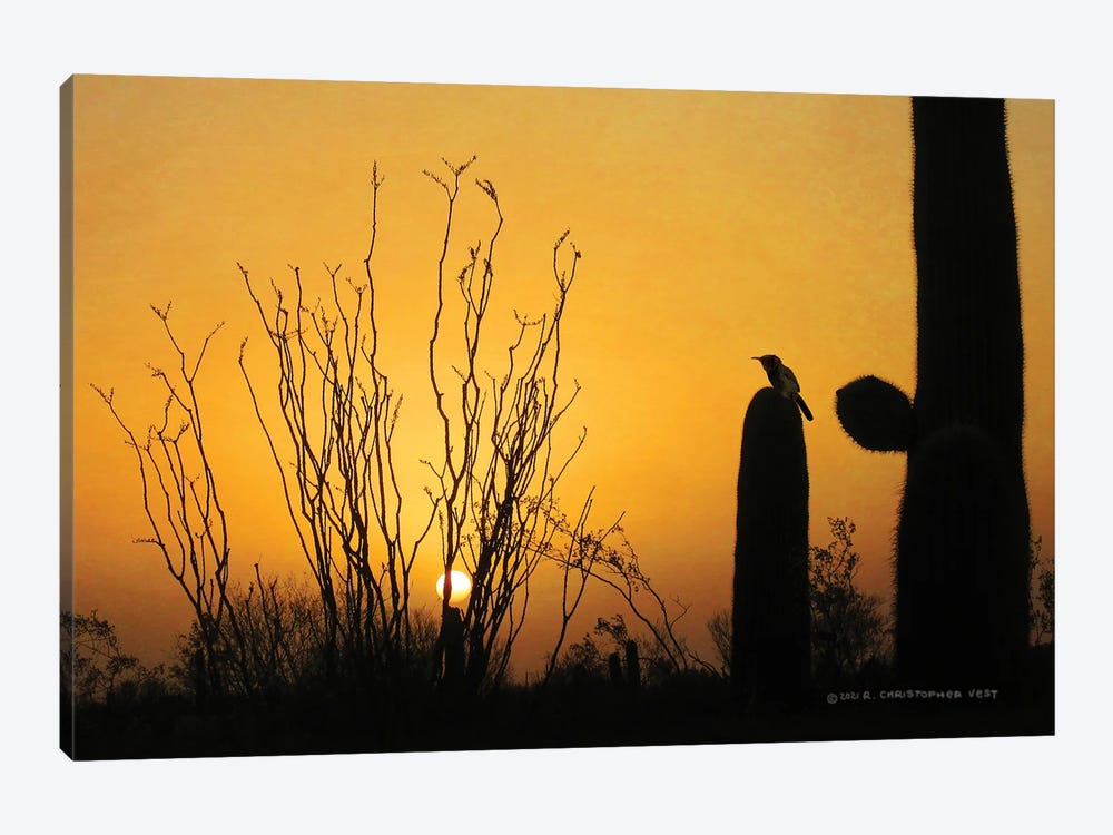 Sunset Cactus Wren by Christopher Vest 1-piece Canvas Wall Art