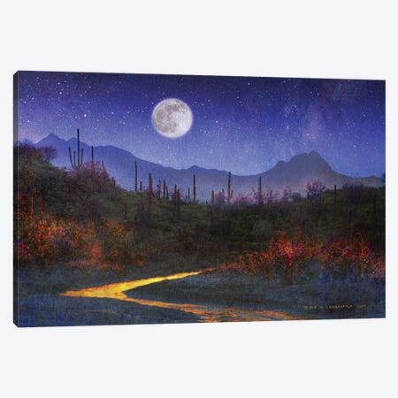 Sunset Over Saguaros Canvas Print #CHV66} by Christopher Vest Canvas Print