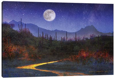Sunset Over Saguaros Canvas Art Print