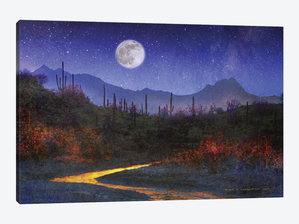 Sunset Over Saguaros by Christopher Vest 1-piece Art Print