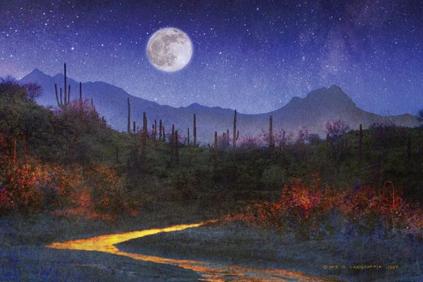 Sunset Over Saguaros