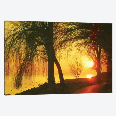 Weeping Willows, Lac Leman Canvas Print #CHV67} by Christopher Vest Canvas Print