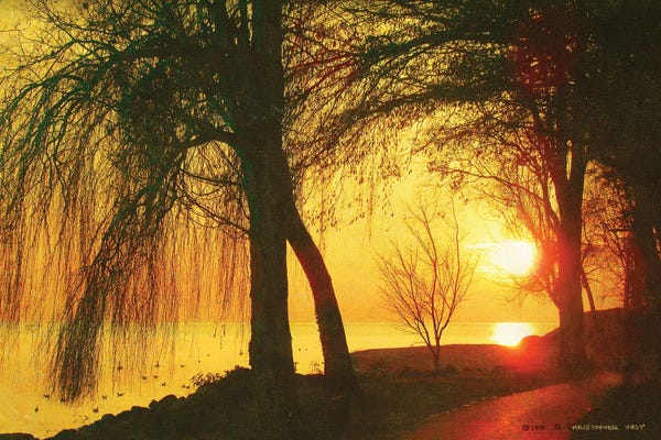 Christopher Vest: Weeping Willows, Lac Leman by Christopher Vest