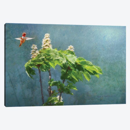 Windy Day Chestnut Blooms Canvas Print #CHV68} by Christopher Vest Canvas Artwork