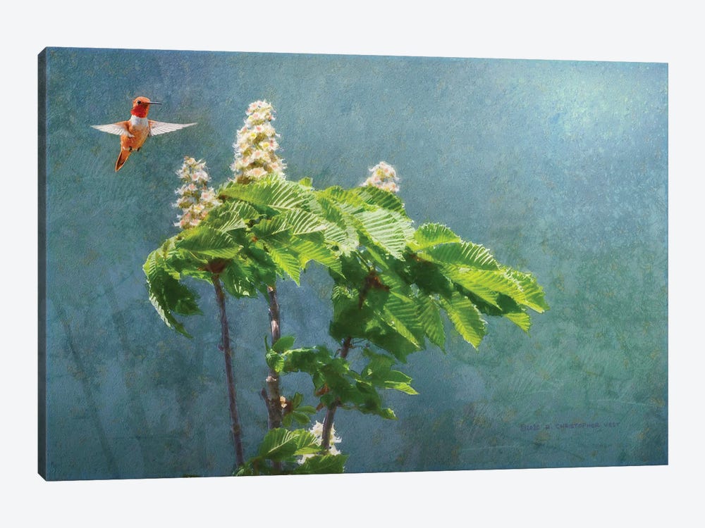 Windy Day Chestnut Blooms by Christopher Vest 1-piece Canvas Art Print