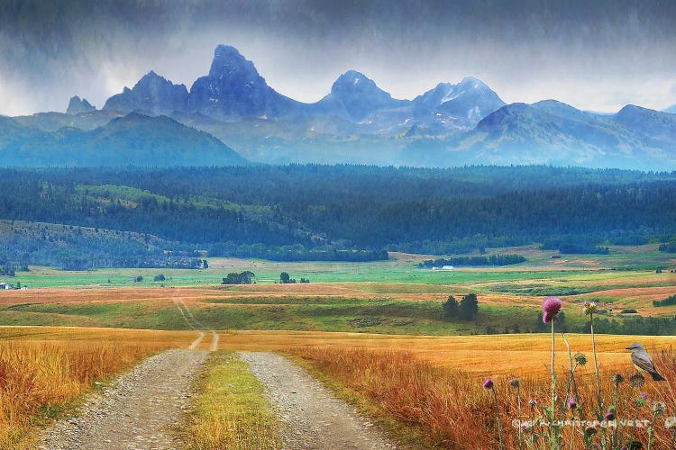 Vista Pierre's Hole by Christopher Vest wall art