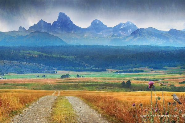 Idaho: Vista Pierre's Hole by Christopher Vest