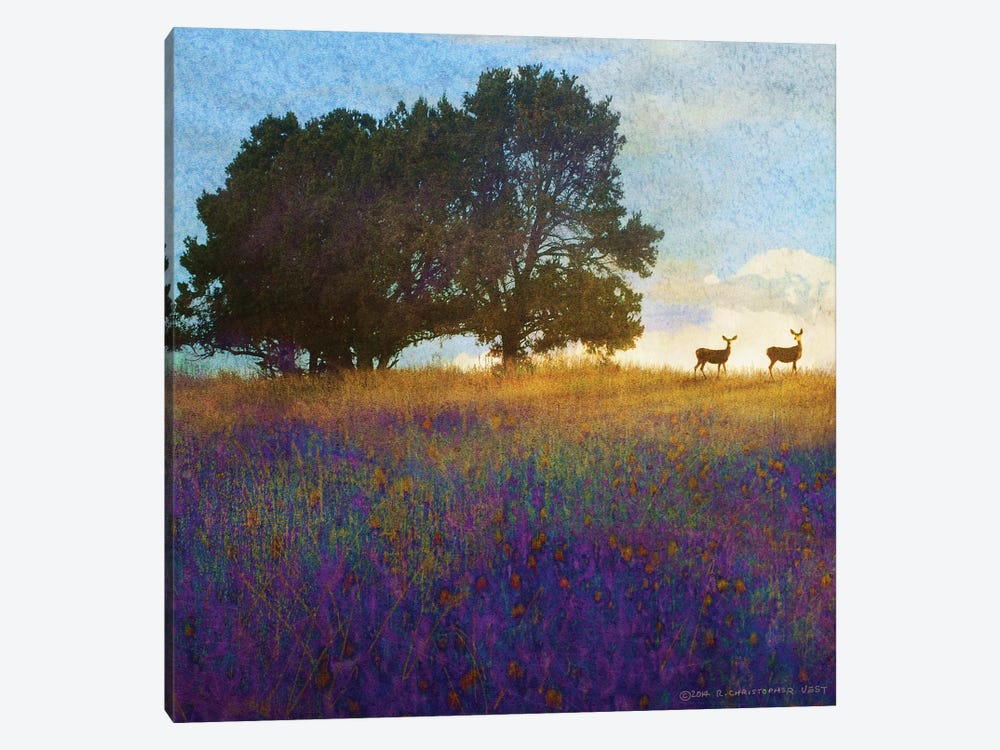 Tree Hill Flowers by Christopher Vest 1-piece Canvas Art