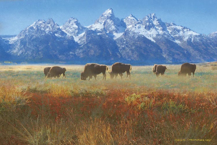 Meadow Grass Grand Teton