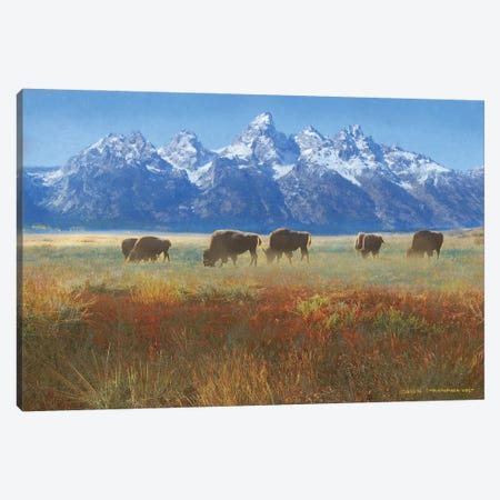 Meadow Grass Grand Teton Canvas Print #CHV70} by Christopher Vest Canvas Art Print