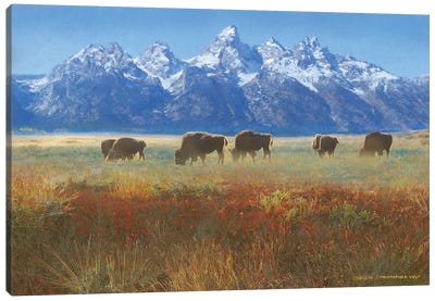 Meadow Grass Grand Teton Canvas Art Print