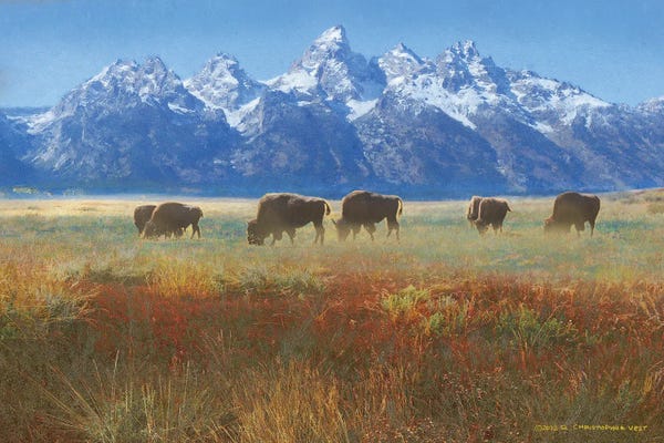 Wyoming: Meadow Grass Grand Teton by Christopher Vest