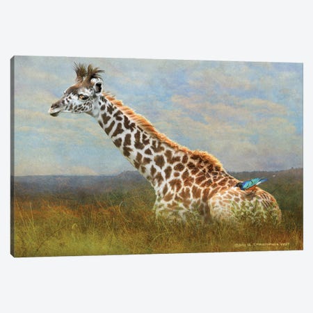 Giraffe And Starling Canvas Print #CHV73} by Christopher Vest Canvas Art Print