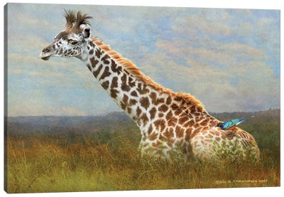 Giraffe And Starling Canvas Art Print