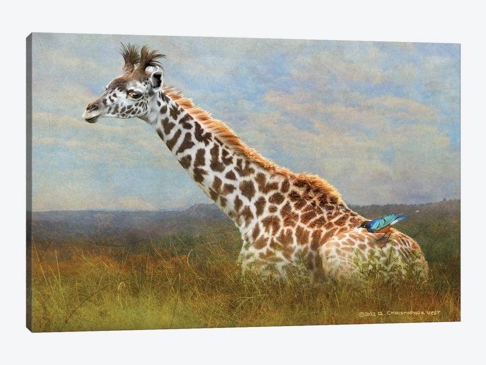 Giraffe And Starling by Christopher Vest 1-piece Art Print