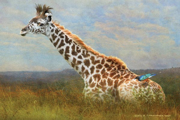 Grasses: Giraffe And Starling by Christopher Vest