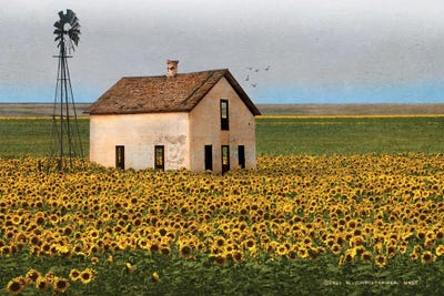 White House With Sunflowers by Christopher Vest metal wall art