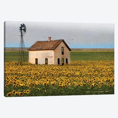 White House With Sunflowers Canvas Print #CHV79} by Christopher Vest Canvas Print