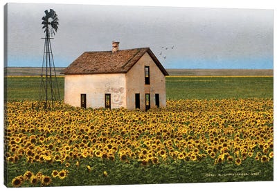 White House With Sunflowers Canvas Art Print