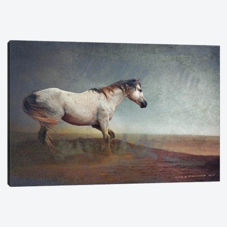 White Horse Dust Storm Canvas Print #CHV7} by Christopher Vest Canvas Art Print