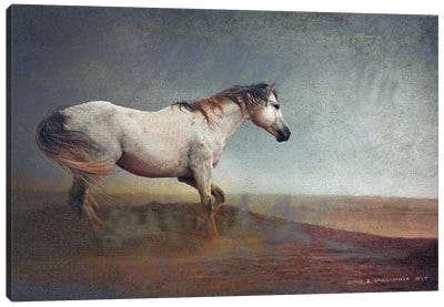 White Horse Dust Storm Canvas Art Print