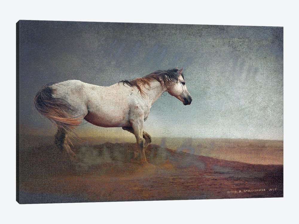 White Horse Dust Storm by Christopher Vest 1-piece Art Print