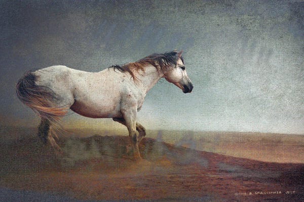 Christopher Vest: White Horse Dust Storm by Christopher Vest