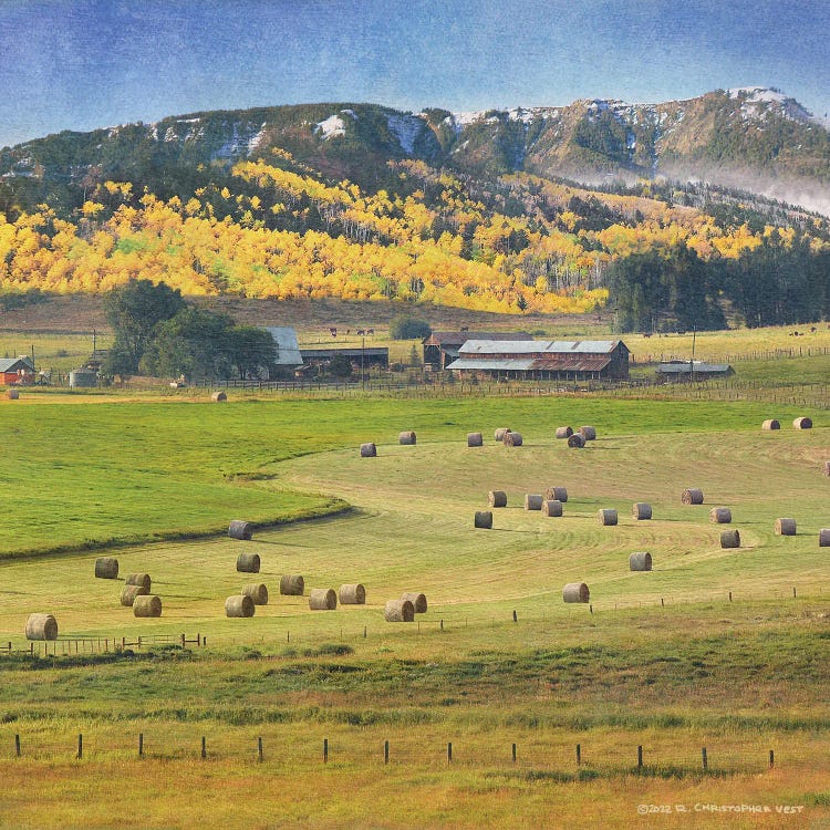 Cherry Creek Haybales by Christopher Vest wall art