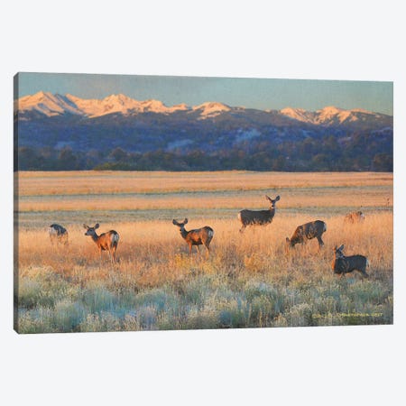 Sunset Deer Canvas Print #CHV82} by Christopher Vest Canvas Artwork