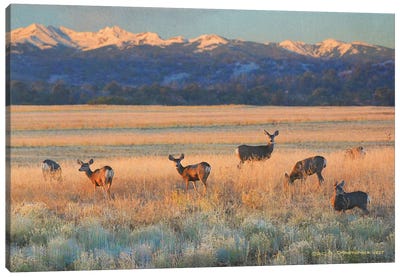 Sunset Deer Canvas Art Print
