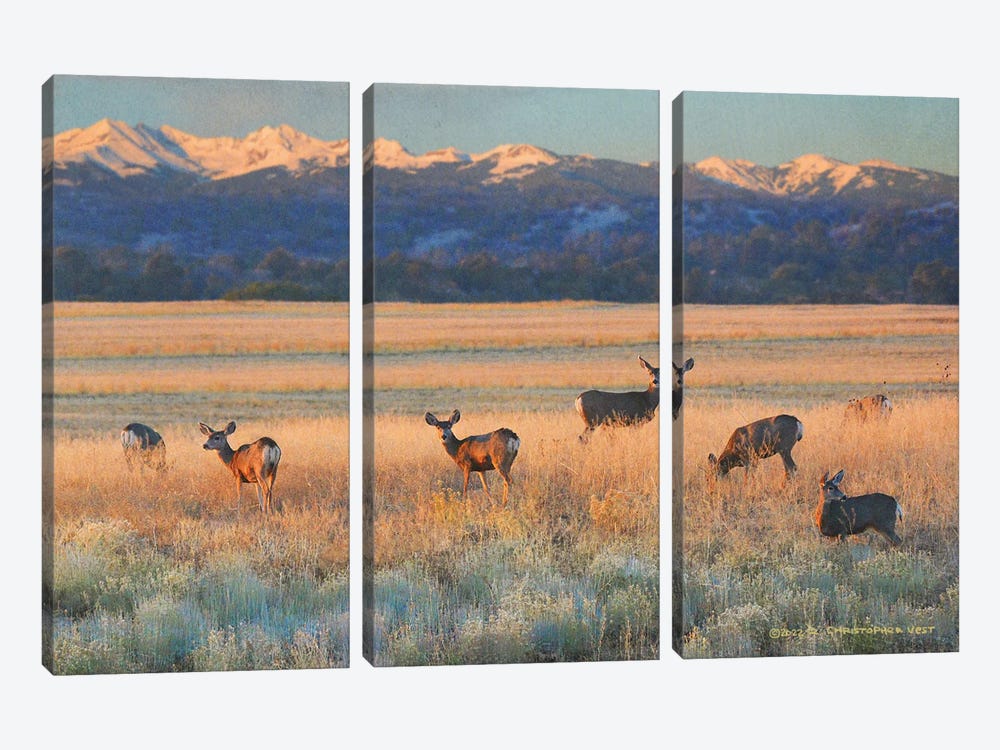 Sunset Deer by Christopher Vest 3-piece Canvas Print