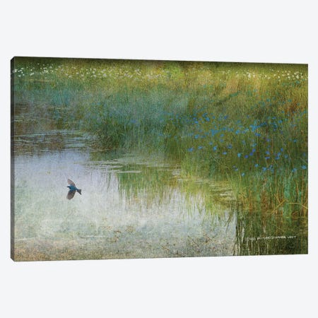 Wetland Tree Swallow Canvas Print #CHV83} by Christopher Vest Canvas Art